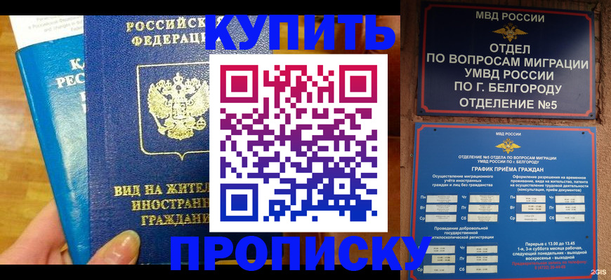 прописка паспорт в Сургуте